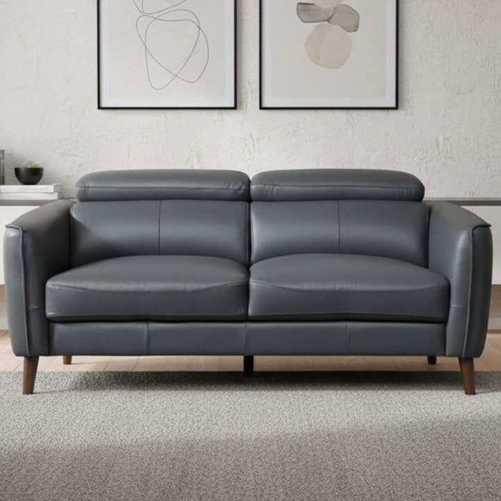 Amendola 2-Seater Leather Sofa - Grey