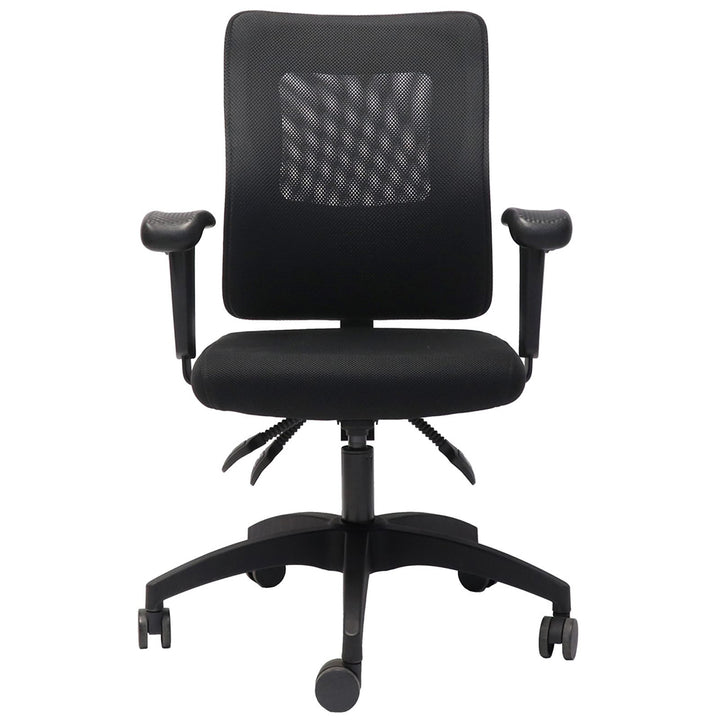 Armidale Mesh Ergonomic Office Chair