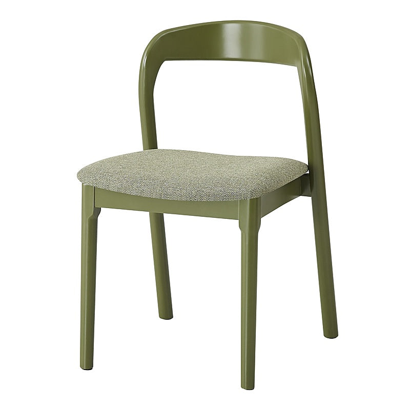 Bairia Set of 2 Dining Chair - Matte Olive