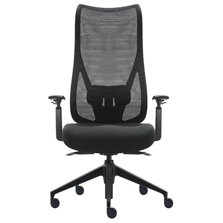 Dernbach Mesh High Back Ergonomic Executive Office Chair