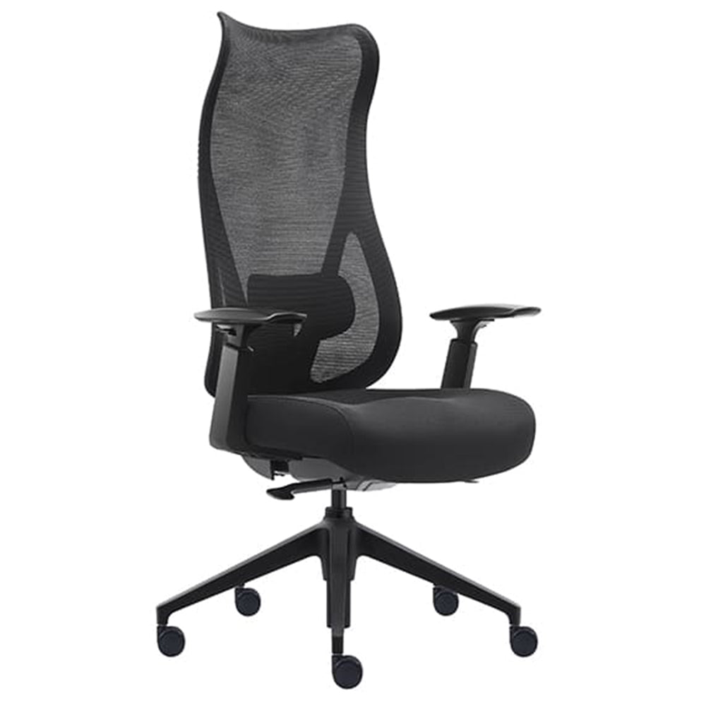 Dernbach Mesh High Back Ergonomic Executive Office Chair