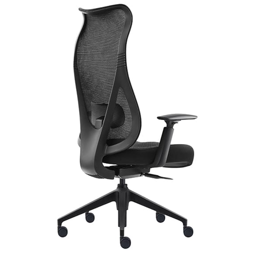 Dernbach Mesh High Back Ergonomic Executive Office Chair