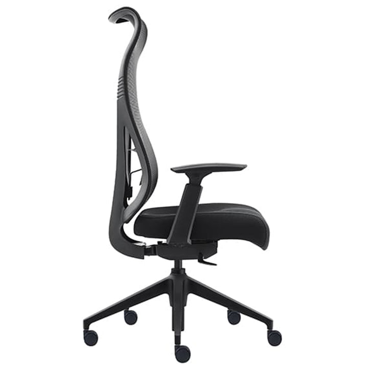 Dernbach Mesh High Back Ergonomic Executive Office Chair