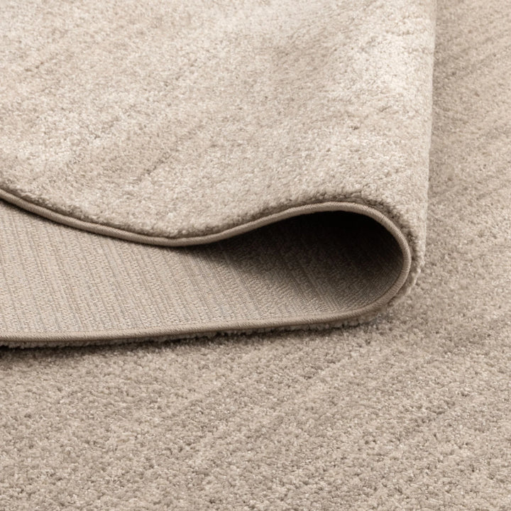 Dorado Minimalist Tonal Beige Rug