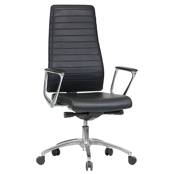 Low Back Executive Office Chair