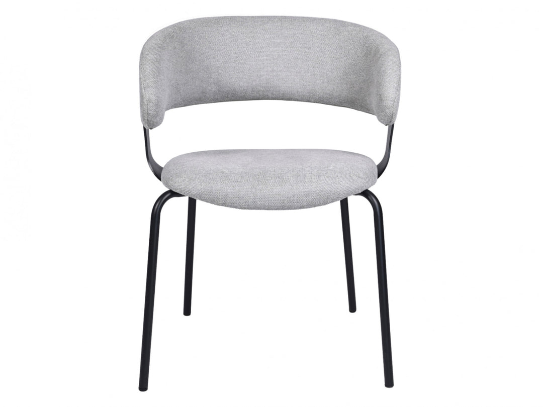 Levin Chenille Dining Chairs (Set of 2) - Silver Grey