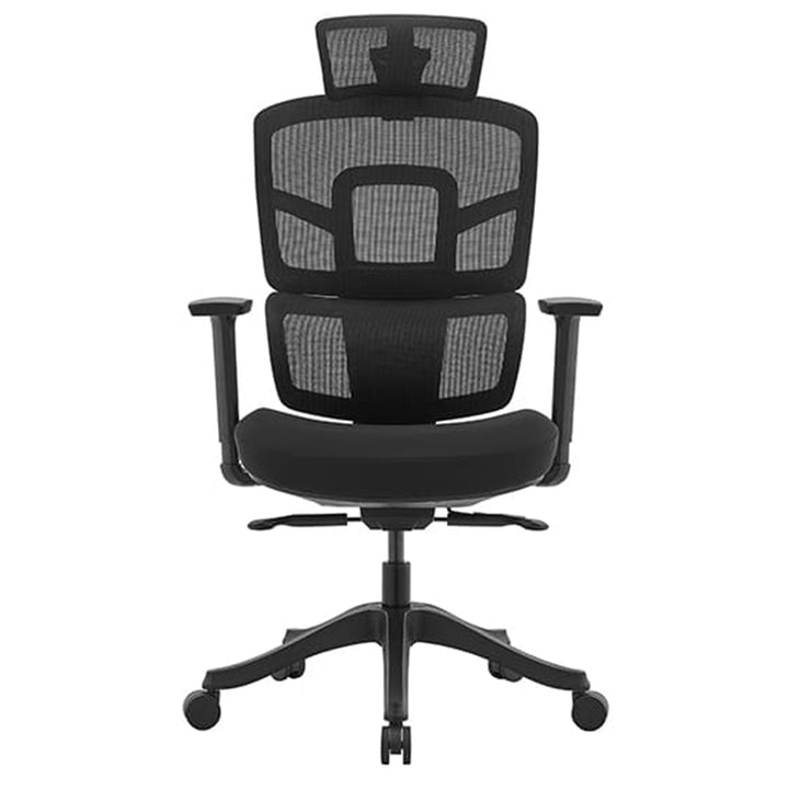 Limburg Mesh Back Ergonomic Premium Office Chair with Headrest