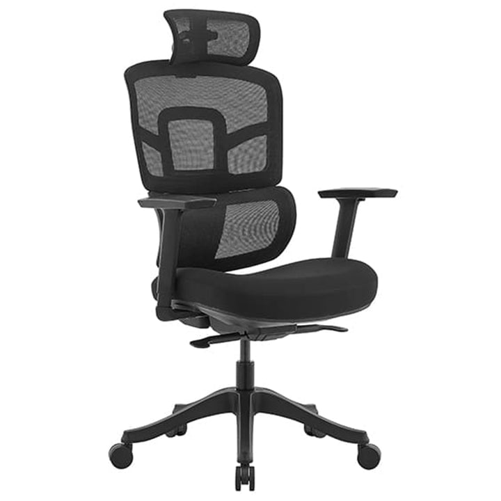 Limburg Mesh Back Ergonomic Premium Office Chair with Headrest