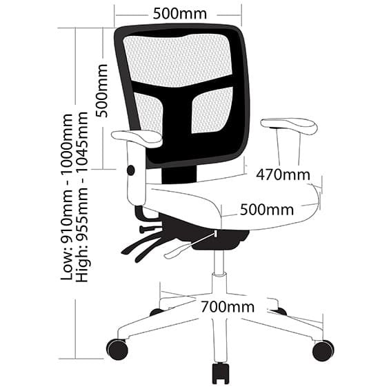 Oyster Low Back Mesh Ergonomic Office Chair with Adjustable Arm