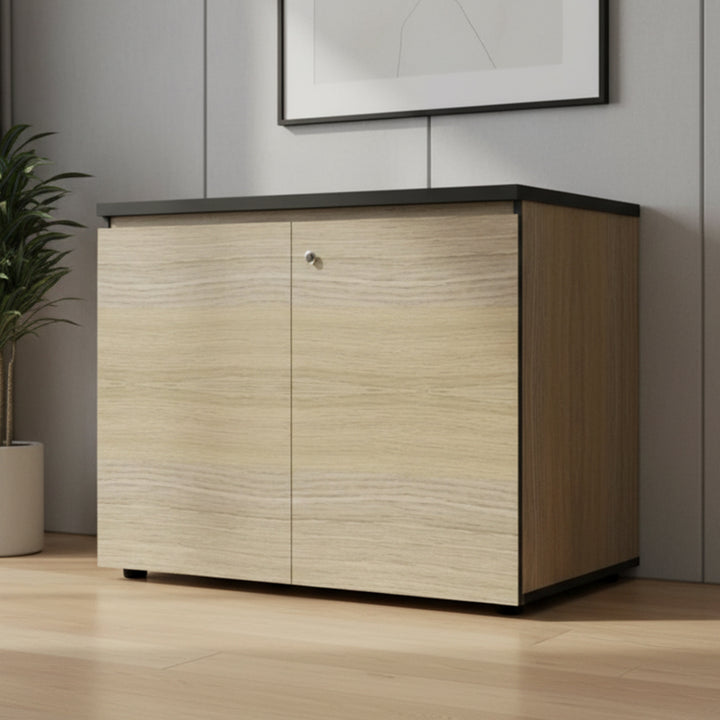 Saturn 2 Door Credenza
